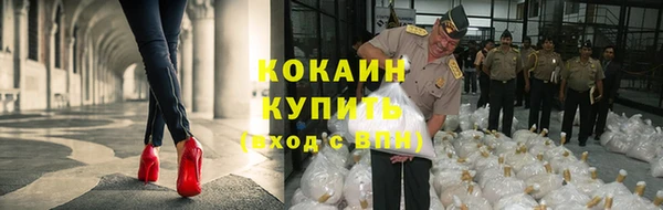прущие крисы Балахна