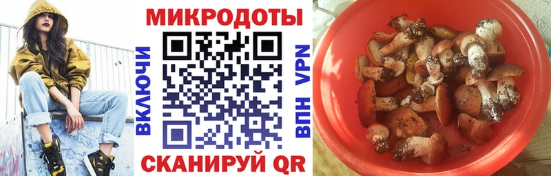 закладка Ершов shop формула Галлюциногенные грибы мухоморы
