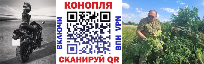 Канабис VHQ Ершов
